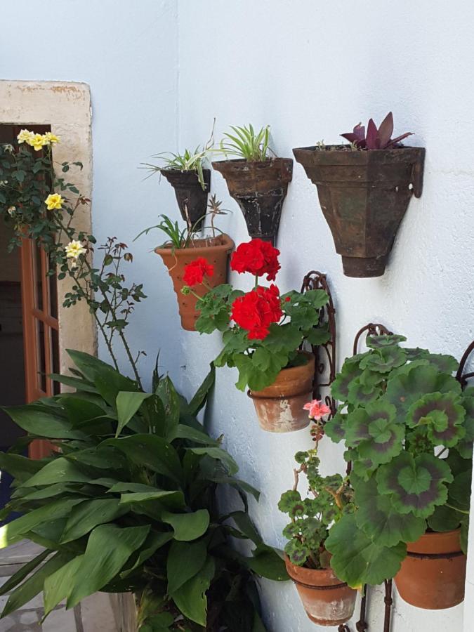 Rua Das Rosas 22/B&B Figueira da Foz Eksteriør billede