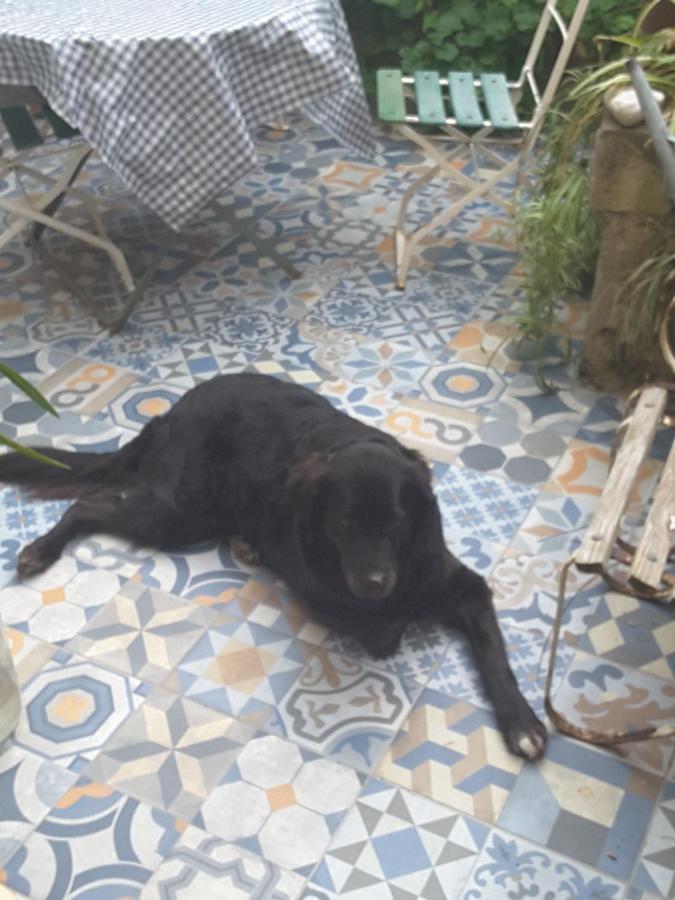 Rua Das Rosas 22/B&B Figueira da Foz Eksteriør billede